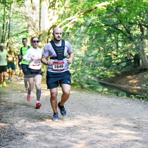 28.09.2025 - 33. Volkslauf durch das schöne Alstertal Dr. Thomas Lammeyer http://msf.ph/oto/8951397 28.09.2025 10:17:51 Laufen 1010, 1646 meine-sportfotos.de
