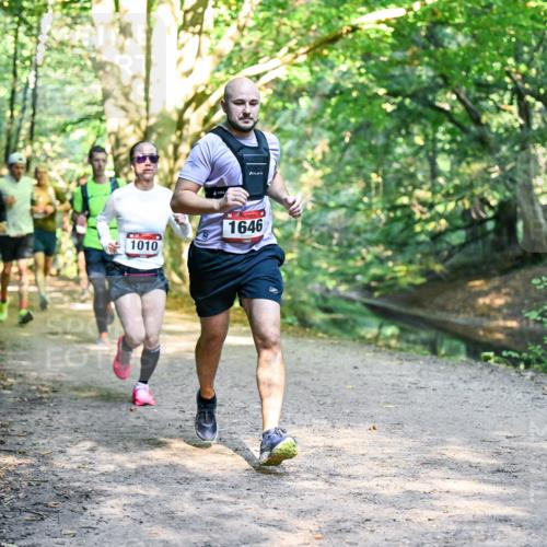 28.09.2025 - 33. Volkslauf durch das schöne Alstertal Dr. Thomas Lammeyer http://msf.ph/oto/8951398 28.09.2025 10:17:51 Laufen 1010, 1646 meine-sportfotos.de