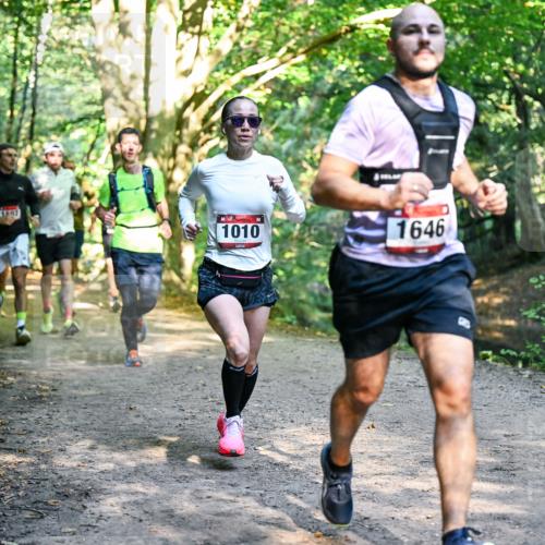 28.09.2025 - 33. Volkslauf durch das schöne Alstertal Dr. Thomas Lammeyer http://msf.ph/oto/8951402 28.09.2025 10:17:52 Laufen 1010, 1646 meine-sportfotos.de