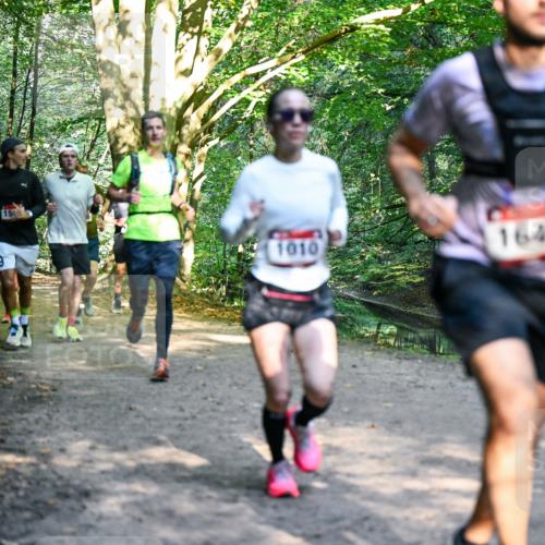 28.09.2025 - 33. Volkslauf durch das schöne Alstertal Dr. Thomas Lammeyer http://msf.ph/oto/8951403 28.09.2025 10:17:53 Laufen 15, 1010, 1646 meine-sportfotos.de