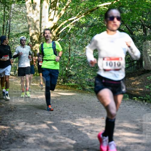 28.09.2025 - 33. Volkslauf durch das schöne Alstertal Dr. Thomas Lammeyer http://msf.ph/oto/8951406 28.09.2025 10:17:53 Laufen 1537, 08, 160, 1010 meine-sportfotos.de
