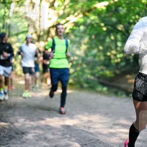 28.09.2025 - 33. Volkslauf durch das schöne Alstertal Dr. Thomas Lammeyer http://msf.ph/oto/8951408 28.09.2025 10:17:53 Laufen 1010 meine-sportfotos.de
