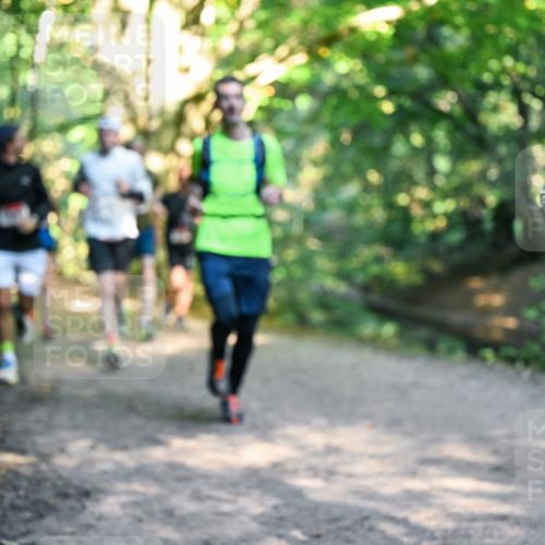 28.09.2025 - 33. Volkslauf durch das schöne Alstertal Dr. Thomas Lammeyer http://msf.ph/oto/8951409 28.09.2025 10:17:53 Laufen  meine-sportfotos.de