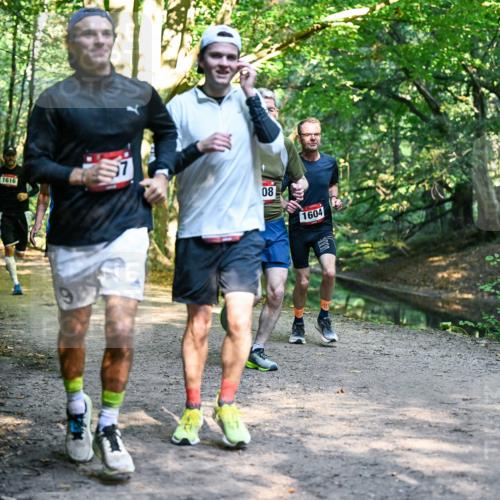 28.09.2025 - 33. Volkslauf durch das schöne Alstertal Dr. Thomas Lammeyer http://msf.ph/oto/8951419 28.09.2025 10:17:55 Laufen 1616, 08, 1604 meine-sportfotos.de