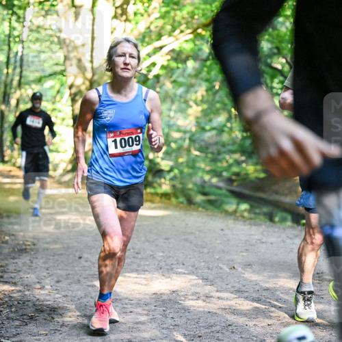 28.09.2025 - 33. Volkslauf durch das schöne Alstertal Dr. Thomas Lammeyer http://msf.ph/oto/8951423 28.09.2025 10:17:56 Laufen 1009, 15, 9 meine-sportfotos.de