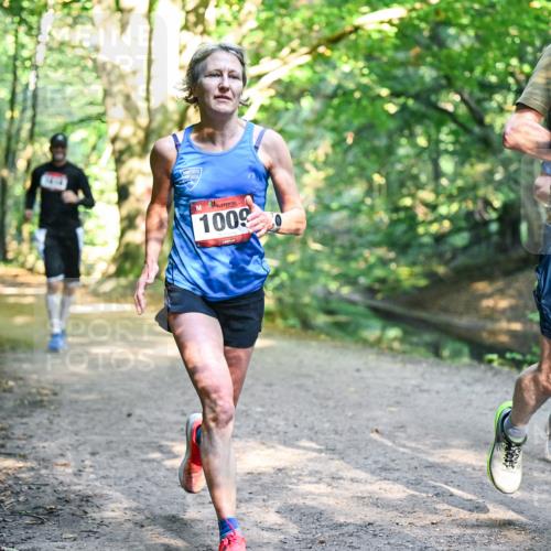 28.09.2025 - 33. Volkslauf durch das schöne Alstertal Dr. Thomas Lammeyer http://msf.ph/oto/8951424 28.09.2025 10:17:57 Laufen 1009 meine-sportfotos.de