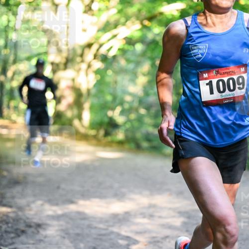 28.09.2025 - 33. Volkslauf durch das schöne Alstertal Dr. Thomas Lammeyer http://msf.ph/oto/8951429 28.09.2025 10:17:57 Laufen 1009, 0 meine-sportfotos.de
