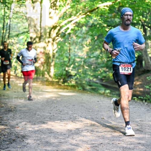 28.09.2025 - 33. Volkslauf durch das schöne Alstertal Dr. Thomas Lammeyer http://msf.ph/oto/8951456 28.09.2025 10:18:03 Laufen 1621 meine-sportfotos.de