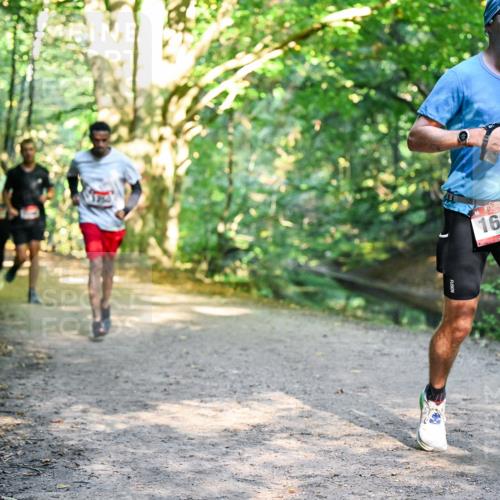 28.09.2025 - 33. Volkslauf durch das schöne Alstertal Dr. Thomas Lammeyer http://msf.ph/oto/8951458 28.09.2025 10:18:03 Laufen 1621 meine-sportfotos.de