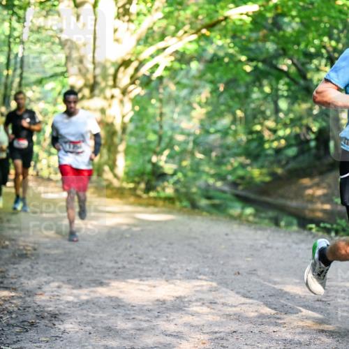 28.09.2025 - 33. Volkslauf durch das schöne Alstertal Dr. Thomas Lammeyer http://msf.ph/oto/8951459 28.09.2025 10:18:03 Laufen 5202, 1621 meine-sportfotos.de