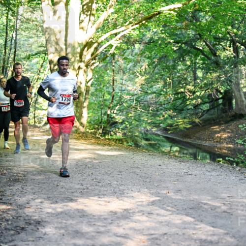 28.09.2025 - 33. Volkslauf durch das schöne Alstertal Dr. Thomas Lammeyer http://msf.ph/oto/8951460 28.09.2025 10:18:04 Laufen 638, 1123, 1590, 1750 meine-sportfotos.de