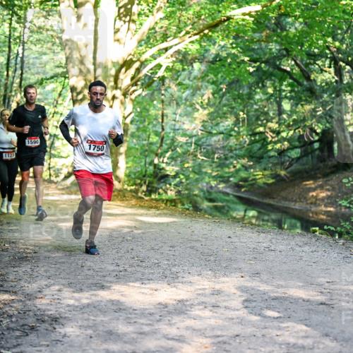 28.09.2025 - 33. Volkslauf durch das schöne Alstertal Dr. Thomas Lammeyer http://msf.ph/oto/8951461 28.09.2025 10:18:04 Laufen 1123, 1590, 1750 meine-sportfotos.de