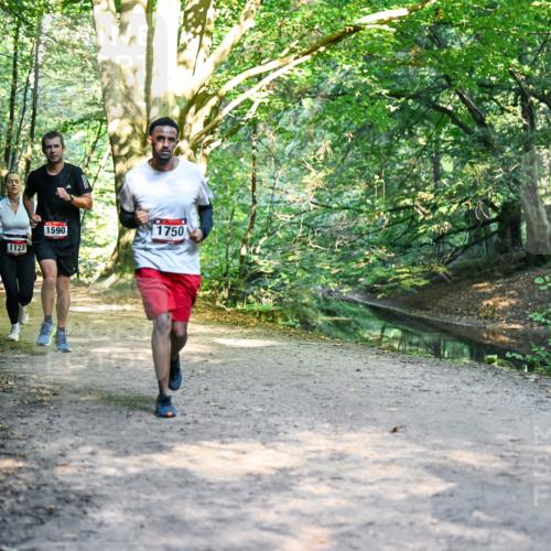 28.09.2025 - 33. Volkslauf durch das schöne Alstertal Dr. Thomas Lammeyer http://msf.ph/oto/8951463 28.09.2025 10:18:04 Laufen 1638, 1123, 1590, 1750 meine-sportfotos.de