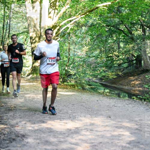 28.09.2025 - 33. Volkslauf durch das schöne Alstertal Dr. Thomas Lammeyer http://msf.ph/oto/8951464 28.09.2025 10:18:04 Laufen 1638, 1123, 1590, 1750 meine-sportfotos.de