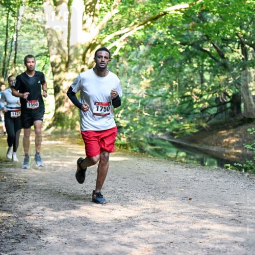 28.09.2025 - 33. Volkslauf durch das schöne Alstertal Dr. Thomas Lammeyer http://msf.ph/oto/8951466 28.09.2025 10:18:05 Laufen 1123, 1590, 1750 meine-sportfotos.de