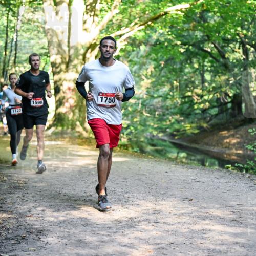 28.09.2025 - 33. Volkslauf durch das schöne Alstertal Dr. Thomas Lammeyer http://msf.ph/oto/8951467 28.09.2025 10:18:05 Laufen 1123, 1590, 1750 meine-sportfotos.de