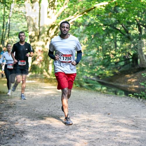 28.09.2025 - 33. Volkslauf durch das schöne Alstertal Dr. Thomas Lammeyer http://msf.ph/oto/8951468 28.09.2025 10:18:05 Laufen 1123, 1590, 1750 meine-sportfotos.de