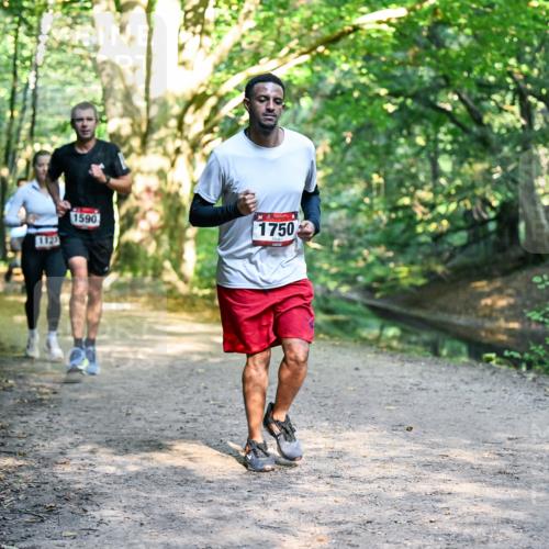 28.09.2025 - 33. Volkslauf durch das schöne Alstertal Dr. Thomas Lammeyer http://msf.ph/oto/8951469 28.09.2025 10:18:05 Laufen 1123, 1590, 1750 meine-sportfotos.de