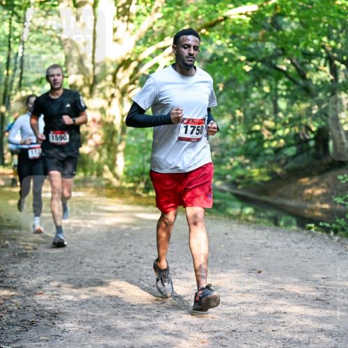 28.09.2025 - 33. Volkslauf durch das schöne Alstertal Dr. Thomas Lammeyer http://msf.ph/oto/8951470 28.09.2025 10:18:05 Laufen 1590, 1750 meine-sportfotos.de