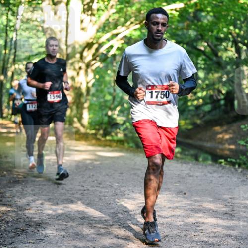 28.09.2025 - 33. Volkslauf durch das schöne Alstertal Dr. Thomas Lammeyer http://msf.ph/oto/8951471 28.09.2025 10:18:05 Laufen 1590, 1750 meine-sportfotos.de