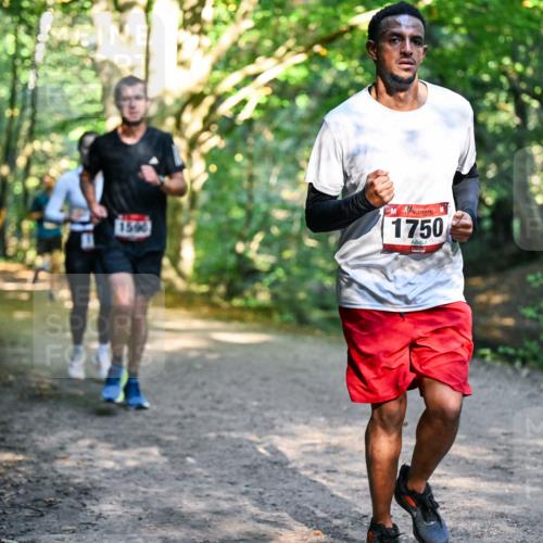 28.09.2025 - 33. Volkslauf durch das schöne Alstertal Dr. Thomas Lammeyer http://msf.ph/oto/8951473 28.09.2025 10:18:06 Laufen 1590, 1750 meine-sportfotos.de