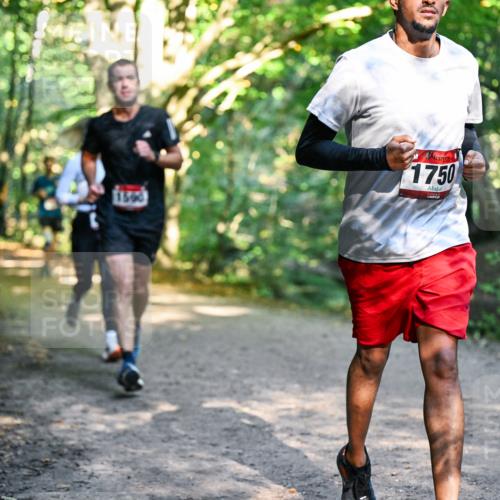 28.09.2025 - 33. Volkslauf durch das schöne Alstertal Dr. Thomas Lammeyer http://msf.ph/oto/8951474 28.09.2025 10:18:06 Laufen 1663, 1750 meine-sportfotos.de