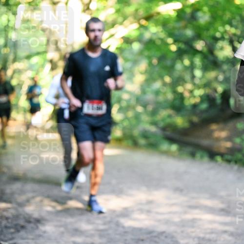 28.09.2025 - 33. Volkslauf durch das schöne Alstertal Dr. Thomas Lammeyer http://msf.ph/oto/8951477 28.09.2025 10:18:06 Laufen  meine-sportfotos.de