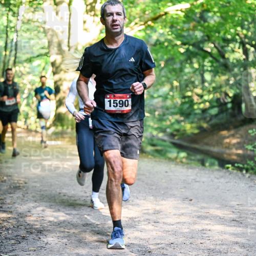 28.09.2025 - 33. Volkslauf durch das schöne Alstertal Dr. Thomas Lammeyer http://msf.ph/oto/8951479 28.09.2025 10:18:07 Laufen 1590 meine-sportfotos.de