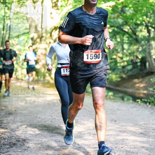 28.09.2025 - 33. Volkslauf durch das schöne Alstertal Dr. Thomas Lammeyer http://msf.ph/oto/8951481 28.09.2025 10:18:07 Laufen 112, 1590 meine-sportfotos.de