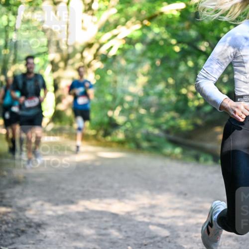 28.09.2025 - 33. Volkslauf durch das schöne Alstertal Dr. Thomas Lammeyer http://msf.ph/oto/8951487 28.09.2025 10:18:08 Laufen 1123 meine-sportfotos.de
