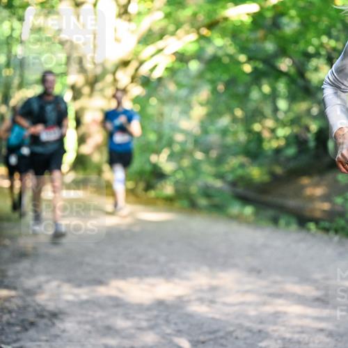 28.09.2025 - 33. Volkslauf durch das schöne Alstertal Dr. Thomas Lammeyer http://msf.ph/oto/8951488 28.09.2025 10:18:08 Laufen 13 meine-sportfotos.de