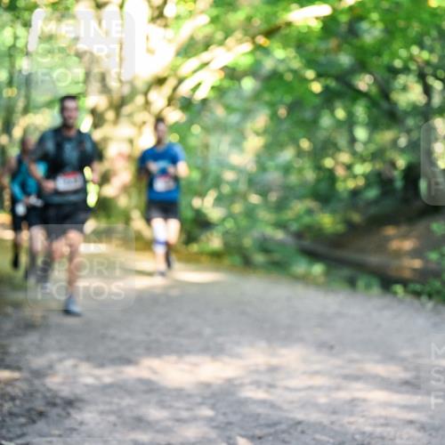 28.09.2025 - 33. Volkslauf durch das schöne Alstertal Dr. Thomas Lammeyer http://msf.ph/oto/8951489 28.09.2025 10:18:08 Laufen  meine-sportfotos.de