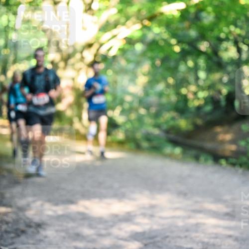 28.09.2025 - 33. Volkslauf durch das schöne Alstertal Dr. Thomas Lammeyer http://msf.ph/oto/8951490 28.09.2025 10:18:08 Laufen  meine-sportfotos.de