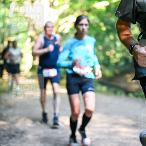 28.09.2025 - 33. Volkslauf durch das schöne Alstertal Dr. Thomas Lammeyer http://msf.ph/oto/8951505 28.09.2025 10:18:11 Laufen 163 meine-sportfotos.de
