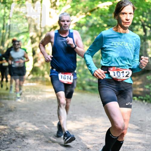 28.09.2025 - 33. Volkslauf durch das schöne Alstertal Dr. Thomas Lammeyer http://msf.ph/oto/8951506 28.09.2025 10:18:11 Laufen 1614, 1012 meine-sportfotos.de