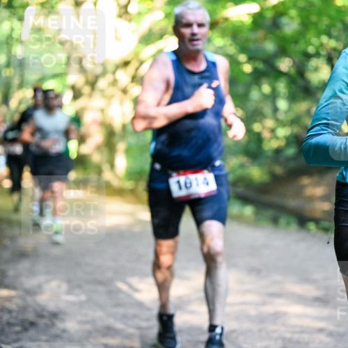 28.09.2025 - 33. Volkslauf durch das schöne Alstertal Dr. Thomas Lammeyer http://msf.ph/oto/8951508 28.09.2025 10:18:12 Laufen 1614, 1012 meine-sportfotos.de
