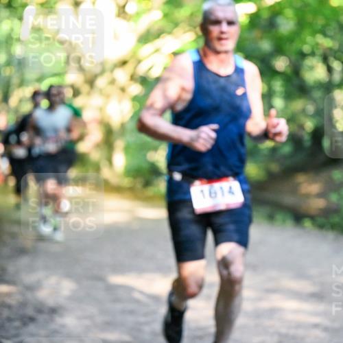 28.09.2025 - 33. Volkslauf durch das schöne Alstertal Dr. Thomas Lammeyer http://msf.ph/oto/8951509 28.09.2025 10:18:12 Laufen 1814 meine-sportfotos.de