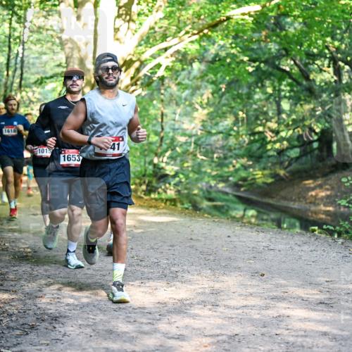 28.09.2025 - 33. Volkslauf durch das schöne Alstertal Dr. Thomas Lammeyer http://msf.ph/oto/8951514 28.09.2025 10:18:13 Laufen 1618, 1015, 41, 1653 meine-sportfotos.de