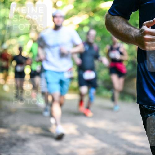 28.09.2025 - 33. Volkslauf durch das schöne Alstertal Dr. Thomas Lammeyer http://msf.ph/oto/8951536 28.09.2025 10:18:17 Laufen 16 meine-sportfotos.de