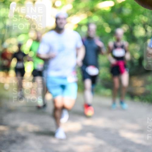 28.09.2025 - 33. Volkslauf durch das schöne Alstertal Dr. Thomas Lammeyer http://msf.ph/oto/8951537 28.09.2025 10:18:17 Laufen  meine-sportfotos.de