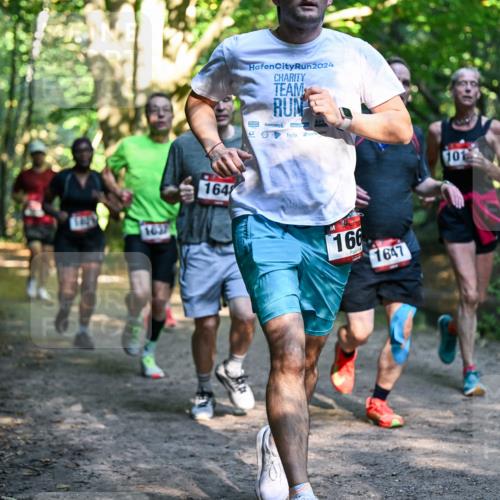 28.09.2025 - 33. Volkslauf durch das schöne Alstertal Dr. Thomas Lammeyer http://msf.ph/oto/8951539 28.09.2025 10:18:18 Laufen 1637, 164, 2024, 1, 166, 1647, 101 meine-sportfotos.de