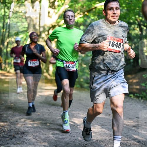 28.09.2025 - 33. Volkslauf durch das schöne Alstertal Dr. Thomas Lammeyer http://msf.ph/oto/8951545 28.09.2025 10:18:19 Laufen 1021, 1637, 1648 meine-sportfotos.de