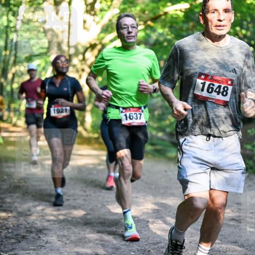 28.09.2025 - 33. Volkslauf durch das schöne Alstertal Dr. Thomas Lammeyer http://msf.ph/oto/8951546 28.09.2025 10:18:19 Laufen 1021, 1637, 1648 meine-sportfotos.de