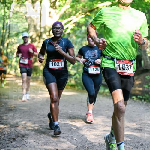 28.09.2025 - 33. Volkslauf durch das schöne Alstertal Dr. Thomas Lammeyer http://msf.ph/oto/8951549 28.09.2025 10:18:20 Laufen 1021, 1125, 1637 meine-sportfotos.de