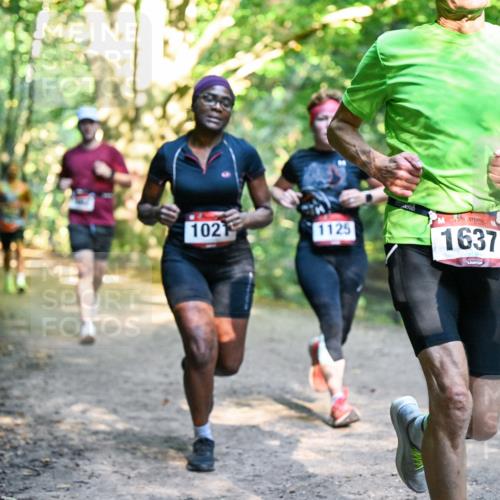28.09.2025 - 33. Volkslauf durch das schöne Alstertal Dr. Thomas Lammeyer http://msf.ph/oto/8951550 28.09.2025 10:18:20 Laufen 102, 1125, 1637 meine-sportfotos.de