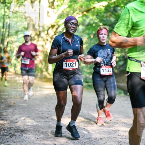 28.09.2025 - 33. Volkslauf durch das schöne Alstertal Dr. Thomas Lammeyer http://msf.ph/oto/8951551 28.09.2025 10:18:20 Laufen 1021, 1125, 1637 meine-sportfotos.de