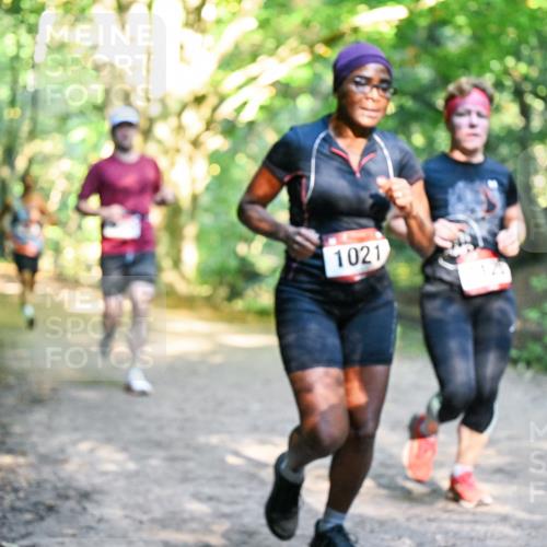 28.09.2025 - 33. Volkslauf durch das schöne Alstertal Dr. Thomas Lammeyer http://msf.ph/oto/8951552 28.09.2025 10:18:20 Laufen 1021 meine-sportfotos.de