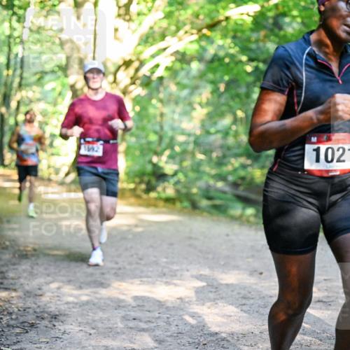 28.09.2025 - 33. Volkslauf durch das schöne Alstertal Dr. Thomas Lammeyer http://msf.ph/oto/8951554 28.09.2025 10:18:21 Laufen 1692, 1021, 1125 meine-sportfotos.de