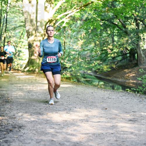 28.09.2025 - 33. Volkslauf durch das schöne Alstertal Dr. Thomas Lammeyer http://msf.ph/oto/8951578 28.09.2025 10:18:37 Laufen 1119 meine-sportfotos.de