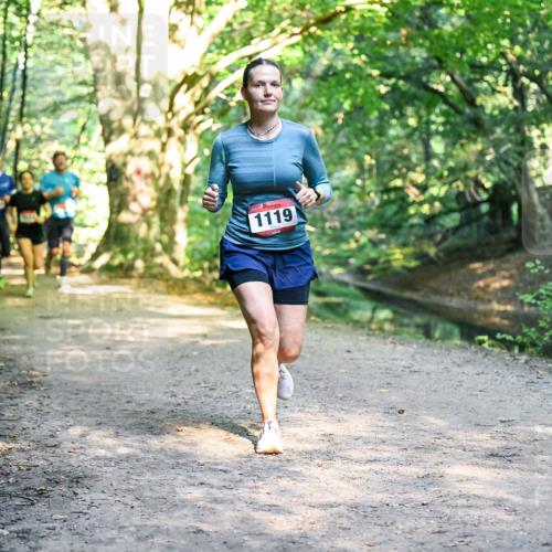 28.09.2025 - 33. Volkslauf durch das schöne Alstertal Dr. Thomas Lammeyer http://msf.ph/oto/8951583 28.09.2025 10:18:38 Laufen 1119 meine-sportfotos.de